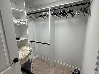 8255 Shady Brook Ln, Flushing, MI 48433 - walk in closet with carpet