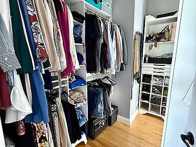 8255 Shady Brook Ln, Flushing, MI 48433 - spacious closet with wood finished floors