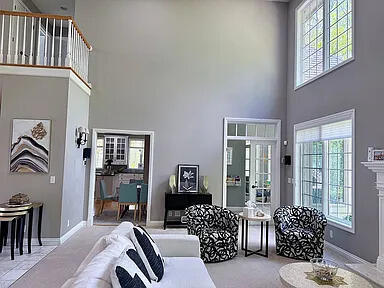 8255 Shady Brook Ln, Flushing, MI 48433 - living room with a towering ceiling, a fireplace, french doors, and carpet