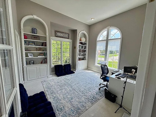8255 Shady Brook Ln, Flushing, MI 48433 - office featuring built in features and carpet floors