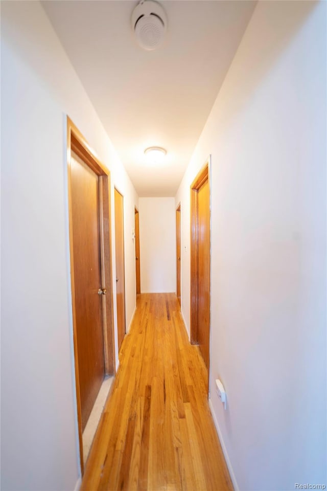 17213 Anne Ave, Detroit, MI 48101 - hall with light wood-type flooring and baseboards