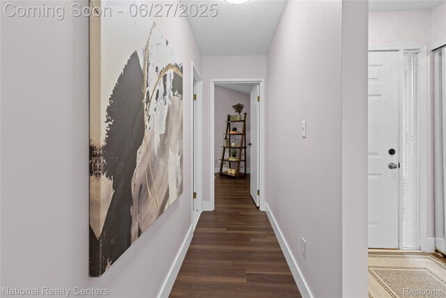 19381 Cardene Way, Northville, MI 48167 - photo 26