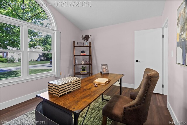 19381 Cardene Way, Northville, MI 48167 - photo 35