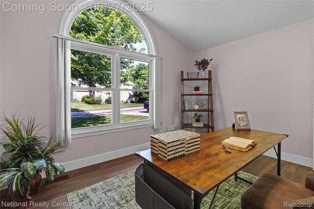 19381 Cardene Way, Northville, MI 48167 - photo 34