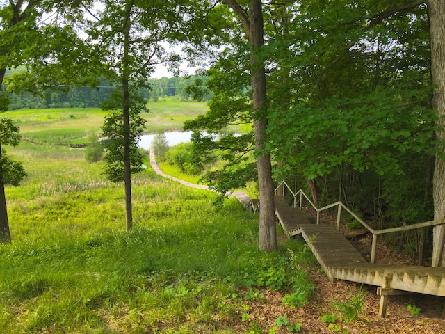 13955 Rattalee Lake Rd, Davisburg, MI 48350 - view of yard featuring a water view