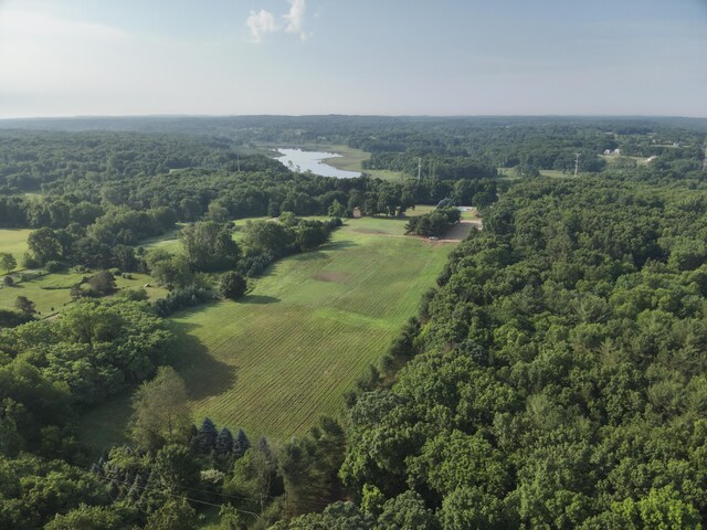 13955 Rattalee Lake Rd, Davisburg, MI 48350 - bird's eye view of a forest and a large body of water