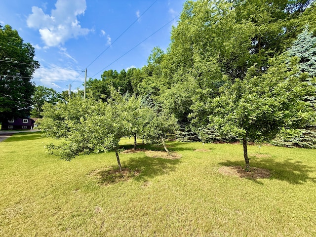 13955 Rattalee Lake Rd, Davisburg, MI 48350 - view of grassy yard