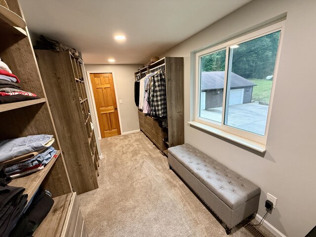 13955 Rattalee Lake Rd, Davisburg, MI 48350 - walk in closet with light colored carpet