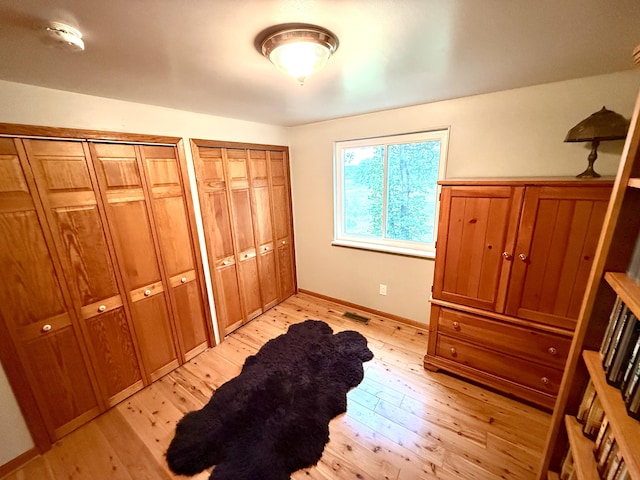13955 Rattalee Lake Rd, Davisburg, MI 48350 - bedroom with light wood-type flooring and two closets