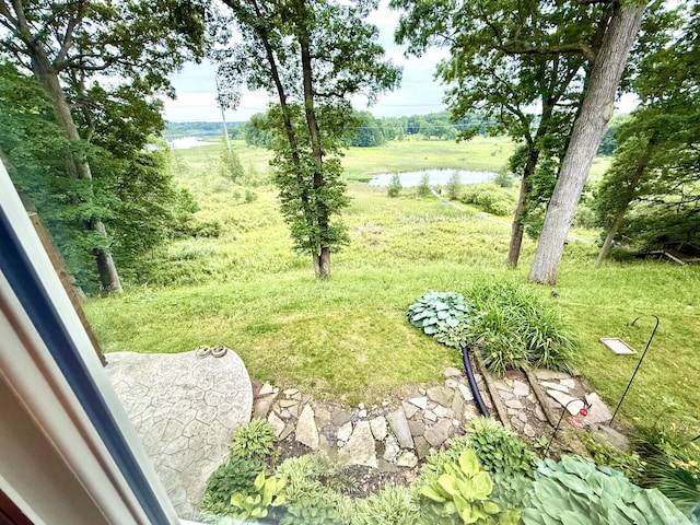 13955 Rattalee Lake Rd, Davisburg, MI 48350 - view of yard featuring a water view