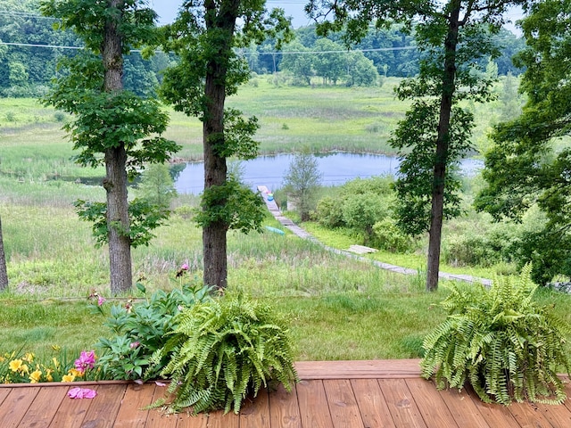 13955 Rattalee Lake Rd, Davisburg, MI 48350 - water view