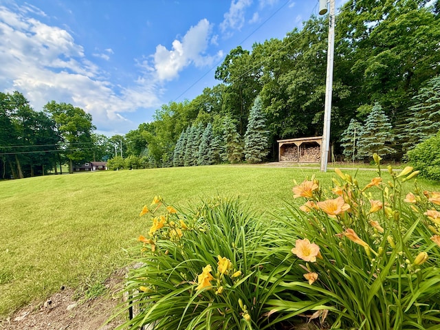 13955 Rattalee Lake Rd, Davisburg, MI 48350 - view of green lawn