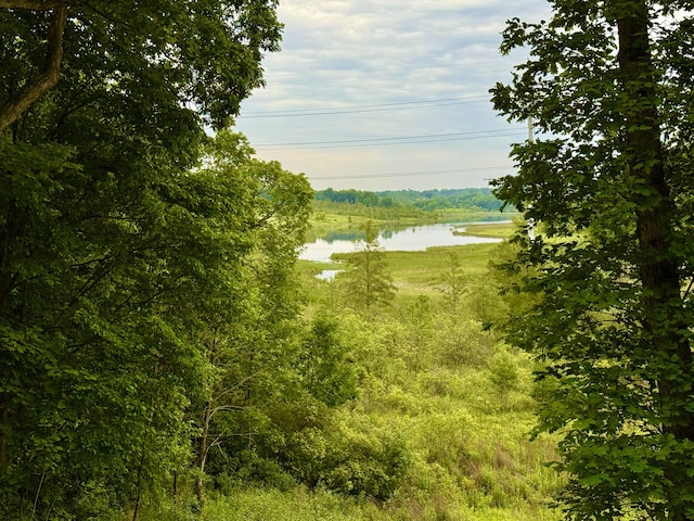 13955 Rattalee Lake Rd, Davisburg, MI 48350 - water view