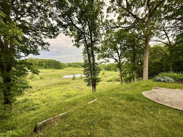 13955 Rattalee Lake Rd, Davisburg, MI 48350 - view of yard