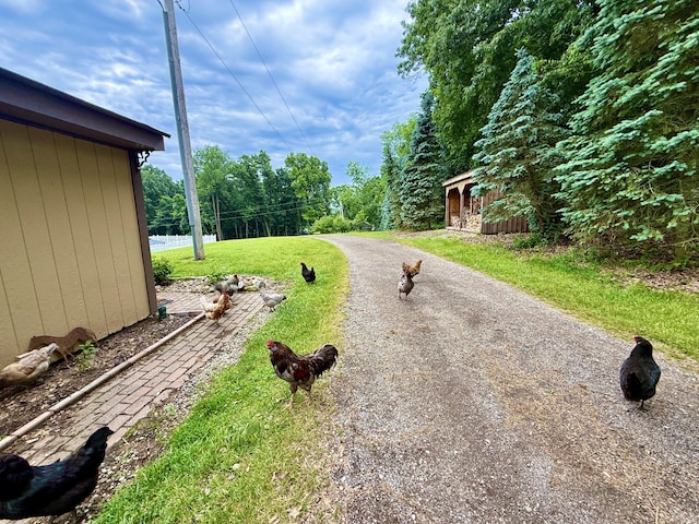 13955 Rattalee Lake Rd, Davisburg, MI 48350 - view of grassy yard with driveway