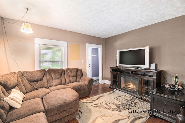612 Norman St, Lansing, MI 48910 - living room with wood finished floors, a glass covered fireplace, and a textured ceiling