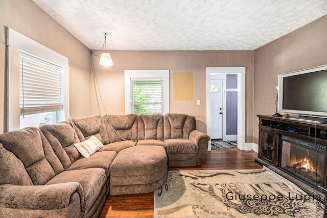 612 Norman St, Lansing, MI 48910 - living room featuring wood finished floors, a textured ceiling, and a glass covered fireplace