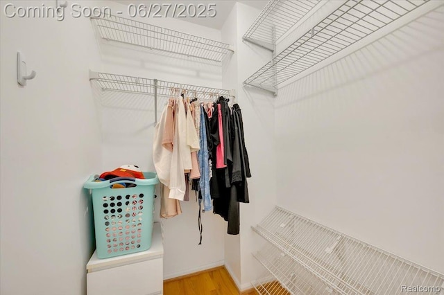 1522 Oregon Ct, Waterford, MI 48327 - spacious closet featuring light wood-style floors