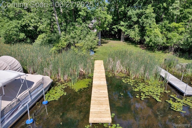 1522 Oregon Ct, Waterford, MI 48327 - view of dock
