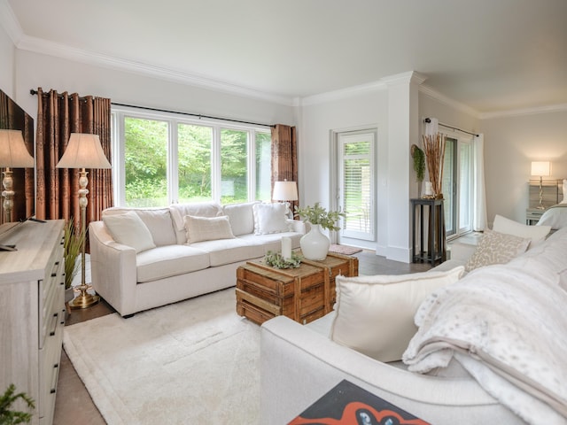 4040 Greenleaf Cir Unit 108, Kalamazoo, MI 49008 - living area featuring crown molding