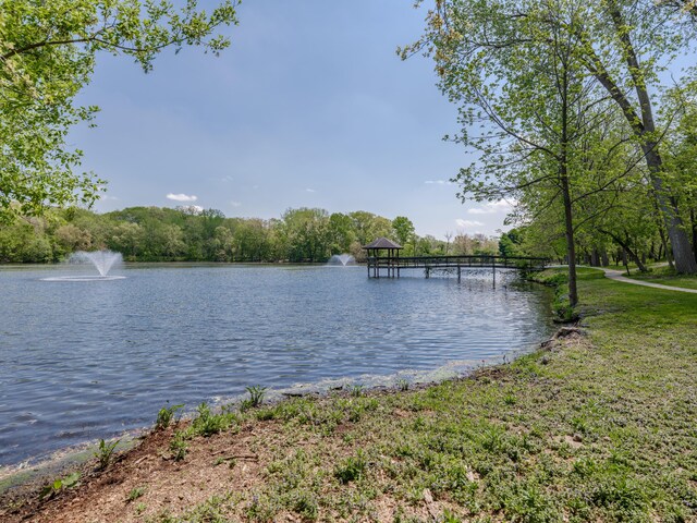 4040 Greenleaf Cir Unit 108, Kalamazoo, MI 49008 - dock with a water view