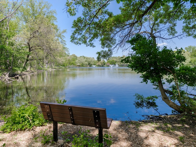 4040 Greenleaf Cir Unit 108, Kalamazoo, MI 49008 - water view