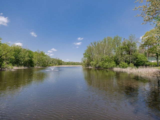 4040 Greenleaf Cir Unit 108, Kalamazoo, MI 49008 - water view