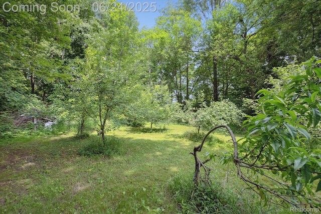 8450 Rosbolt Rd, Willis, MI 48191 - view of grassy yard featuring a forest view