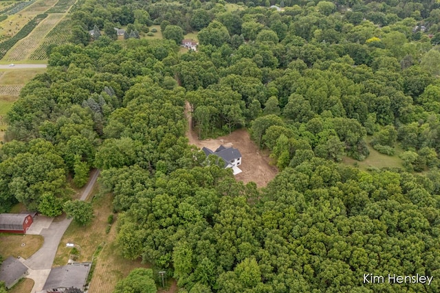 8571 Young Ave NE, Rockford, MI 49341 - photo 61