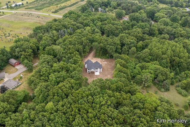 8571 Young Ave NE, Rockford, MI 49341 - photo 62