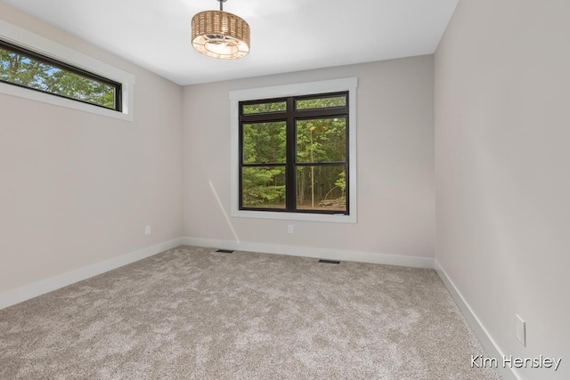 8571 Young Ave NE, Rockford, MI 49341 - photo 26
