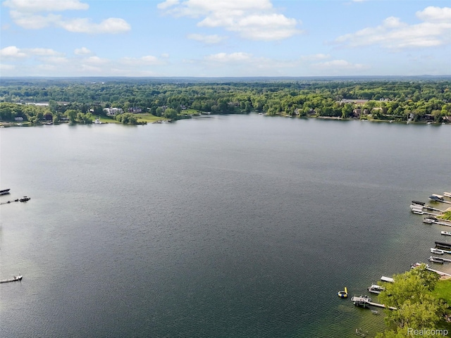 5620 Eastman Blvd, West Bloomfield, MI 48323 - bird's eye view of a large body of water