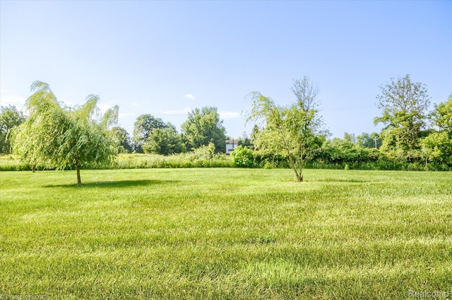 317 N Summers Rd, Imlay City, MI 48444 - photo 40
