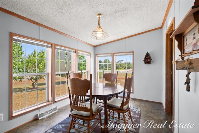 3516 140th Ave, Hamilton, MI 49419 - dining room with ornamental molding, lofted ceiling, and a textured ceiling