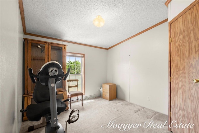 3516 140th Ave, Hamilton, MI 49419 - workout room with crown molding, carpet flooring, and a textured ceiling