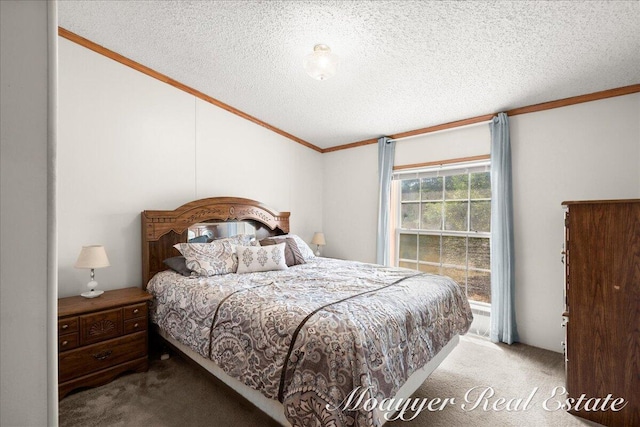 3516 140th Ave, Hamilton, MI 49419 - bedroom featuring carpet, ornamental molding, and a textured ceiling