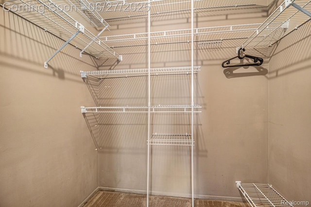 35692 Stillmeadow Ln, Shelby Twp, MI 48035 - view of spacious closet