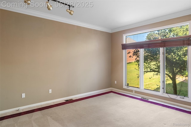 17601 Rolling Woods Cir, Northville, MI 48168 - spare room featuring carpet floors and ornamental molding