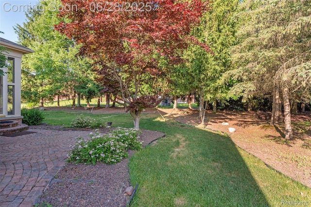 17601 Rolling Woods Cir, Northville, MI 48168 - view of grassy yard