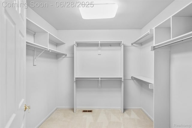 17601 Rolling Woods Cir, Northville, MI 48168 - walk in closet with carpet flooring