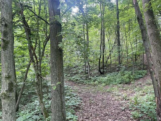 3996 Head Lake Rd, Hastings, MI 49058 - photo 19