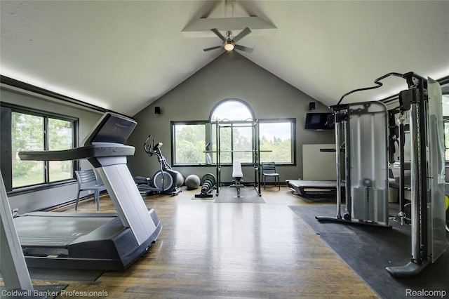 2635 Greenstone Blvd Unit 508, Auburn Hills, MI 48326 - exercise room featuring healthy amount of natural light, a ceiling fan, lofted ceiling, and wood finished floors