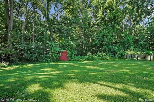274 Beaver St, Brighton, MI 48116 - view of yard