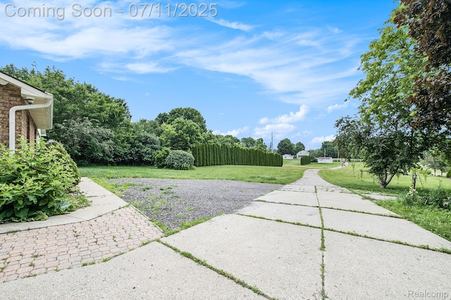 6695 River Rd, Flushing, MI 48433 - photo 25