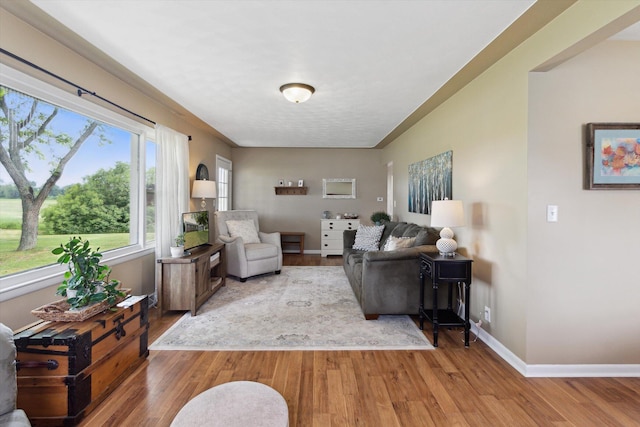 12350 S Butternut Ave, Sand Lake, MI 49343 - living area featuring wood finished floors and baseboards