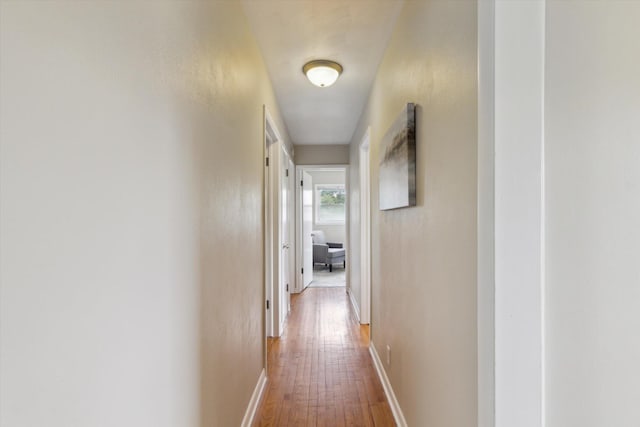 12350 S Butternut Ave, Sand Lake, MI 49343 - hall featuring wood-type flooring and baseboards
