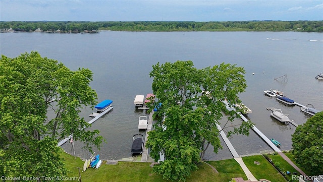 11729 Algonquin Dr, Pinckney, MI 48169 - aerial view of a large body of water