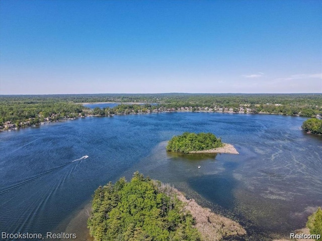 3043 Oakridge Ct, Lake Orion, MI 48360 - water view featuring a forest