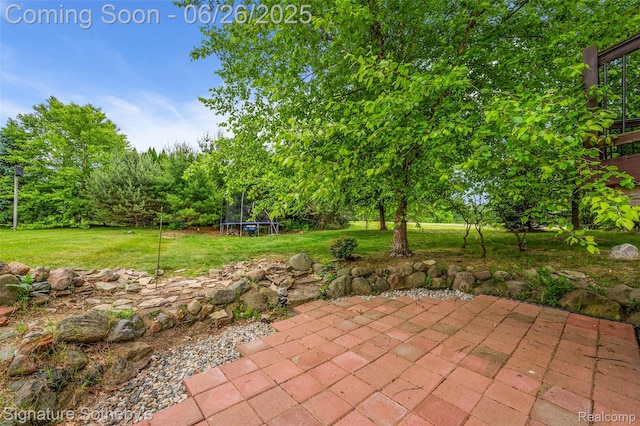 2155 Canal St, Commerce Twp, MI 48382 - view of patio with a trampoline