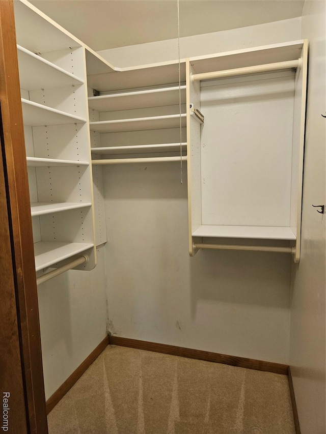 3976 Bristol Dr, Troy, MI 48083 - walk in closet with carpet floors